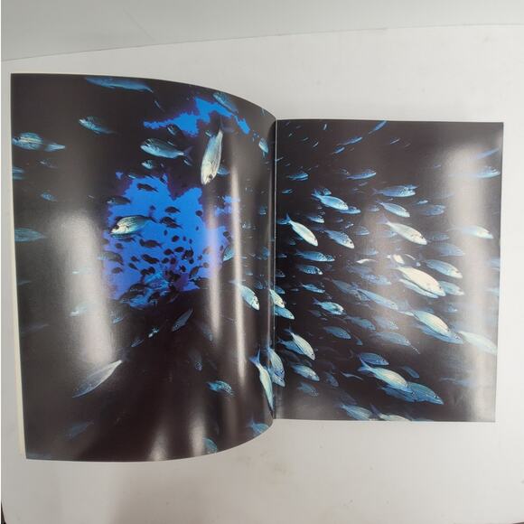 Audubon Society Marine Wildlife Book Les Line 1980‎ Coastal Nature Ocean Guide - Picture 7 of 12